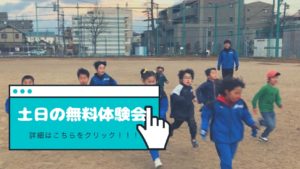 スカイオールスポーツ スペシャルアドバイザー