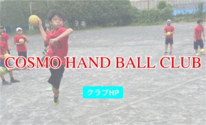 ハンドボール 日本の現状データ