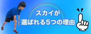 S__59613186